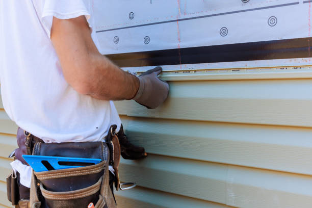 Affordable Siding solutions in Morning View, KY